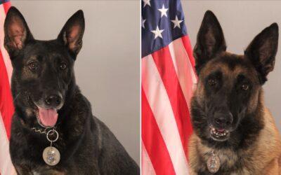 Paducah Police Honor K-9 Units on National Dog Day